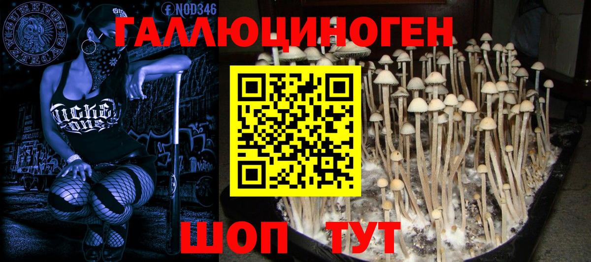 Нефтекамск  продажа наркотиков  Псилоцибиновые грибы Psilocybine cubensis  Вход с VPN  Псилоцибиновые грибы Psilocybine cubensis 